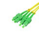 APC Cables
